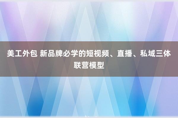 美工外包 新品牌必学的短视频、直播、私域三体联营模型