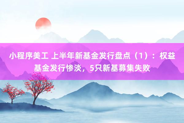 小程序美工 上半年新基金发行盘点（1）：权益基金发行惨淡，5只新基募集失败